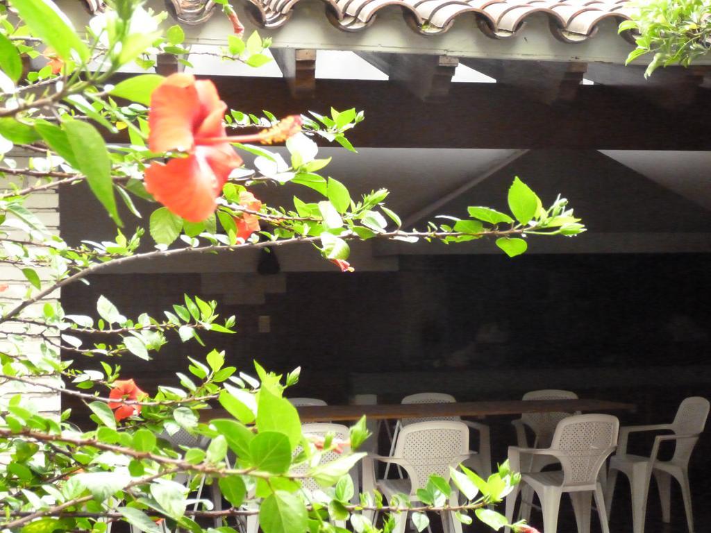 Hostel De Los Artistas Mendoza Kültér fotó